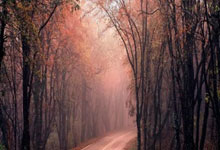  全锦赛战况：莱比锡防线稳固，休斯顿火箭进攻受阻，字母哥成最佳